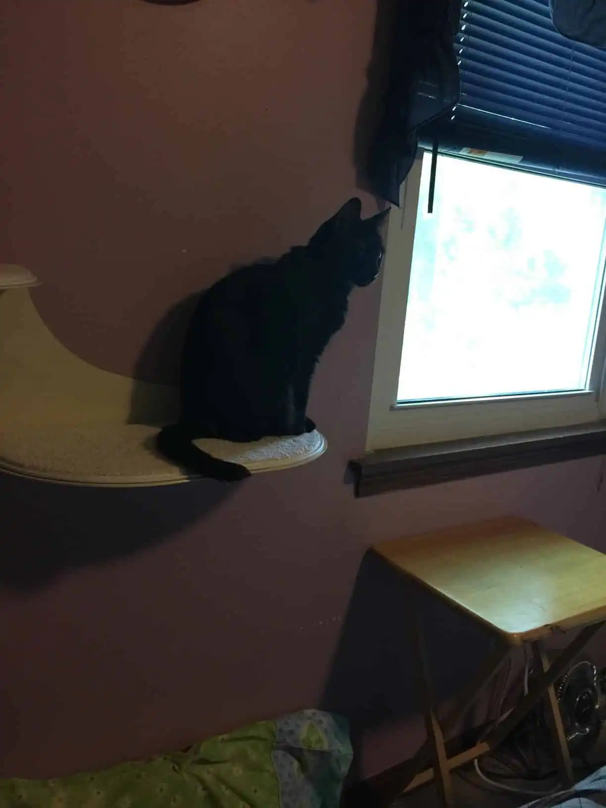 Image #1 from Amazon Customer