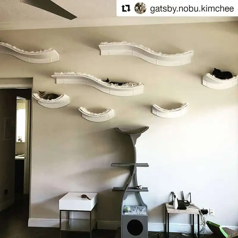 Four cats rest on white wall-mounted Lotus shelves above a gray cat tower in a simply decorated living room.