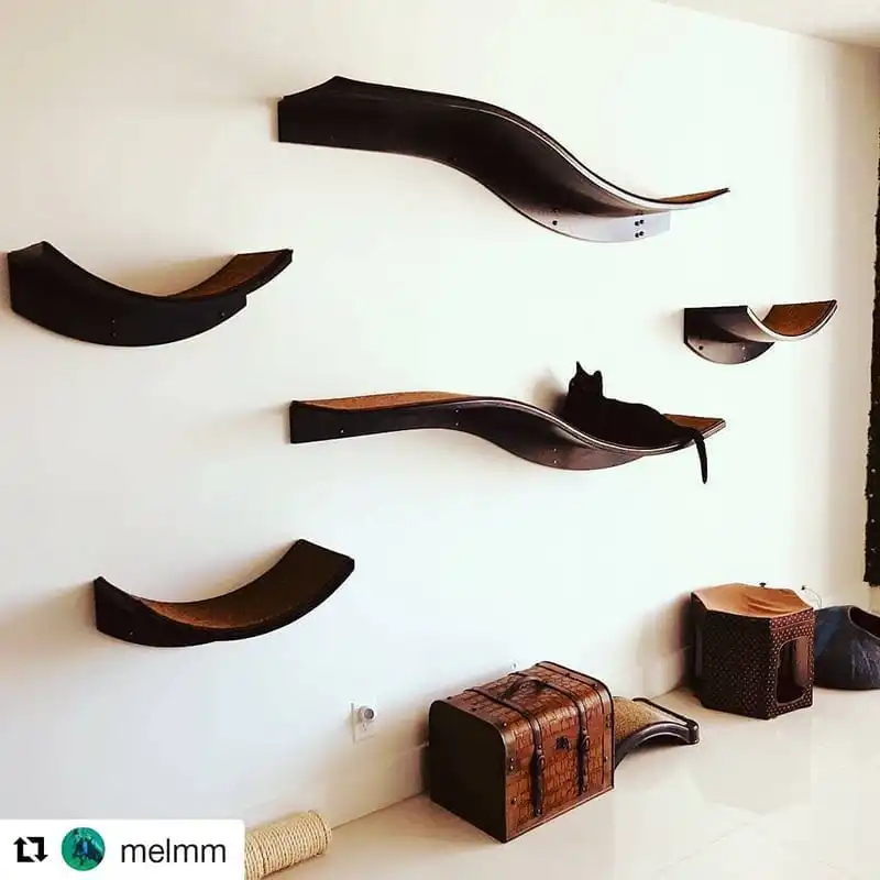 Espresso Lotus Leaf and Branch cat shelves on wall; black cat on a shelf above boxes and baskets on the floor.