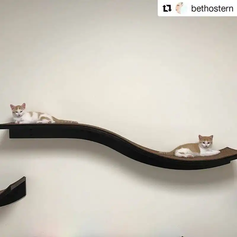 Two orange and white kittens rest on a black, wave-shaped wall shelf against a plain light-colored wall.