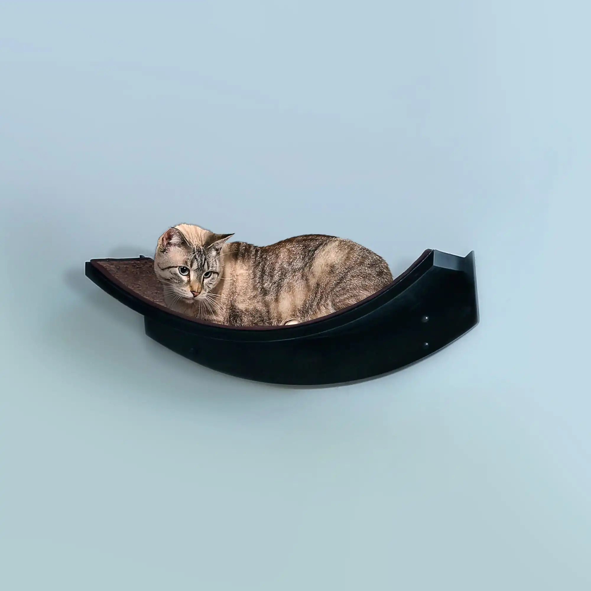A cat rests on a curved, brown wall-mounted Lotus Leaf Cat Shelf against a plain light blue background.