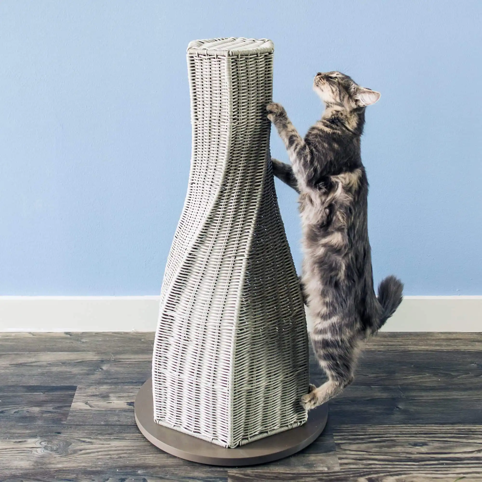 Gray tabby cat scratches and stretches on a tall modern cat scratcher in a room with blue walls and wood flooring.