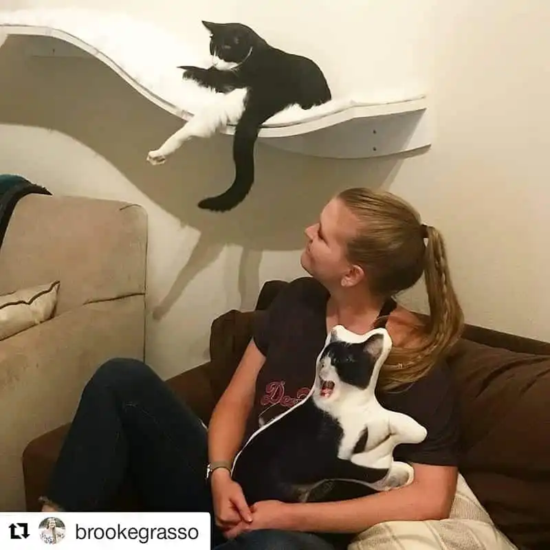 Woman on couch holds a cat pillow, looking up at her black and white cat resting on a wall-mounted white shelf above.