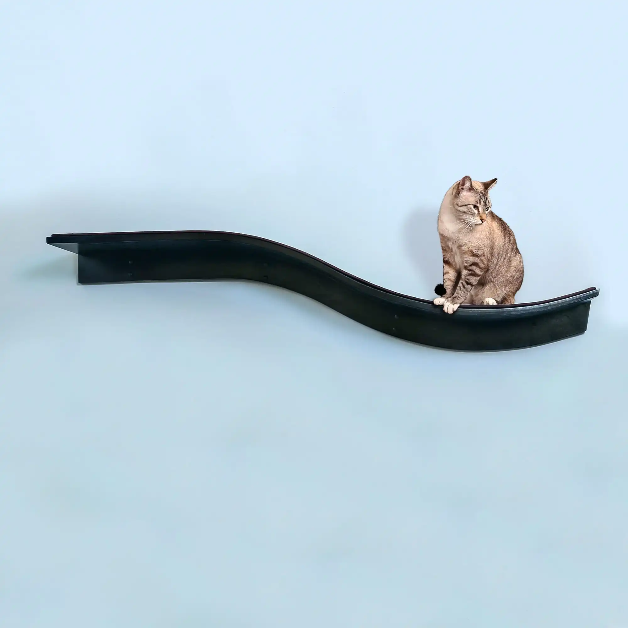 A grey tabby cat sits on a modern wavy wall-mounted shelf against a plain light blue background.
