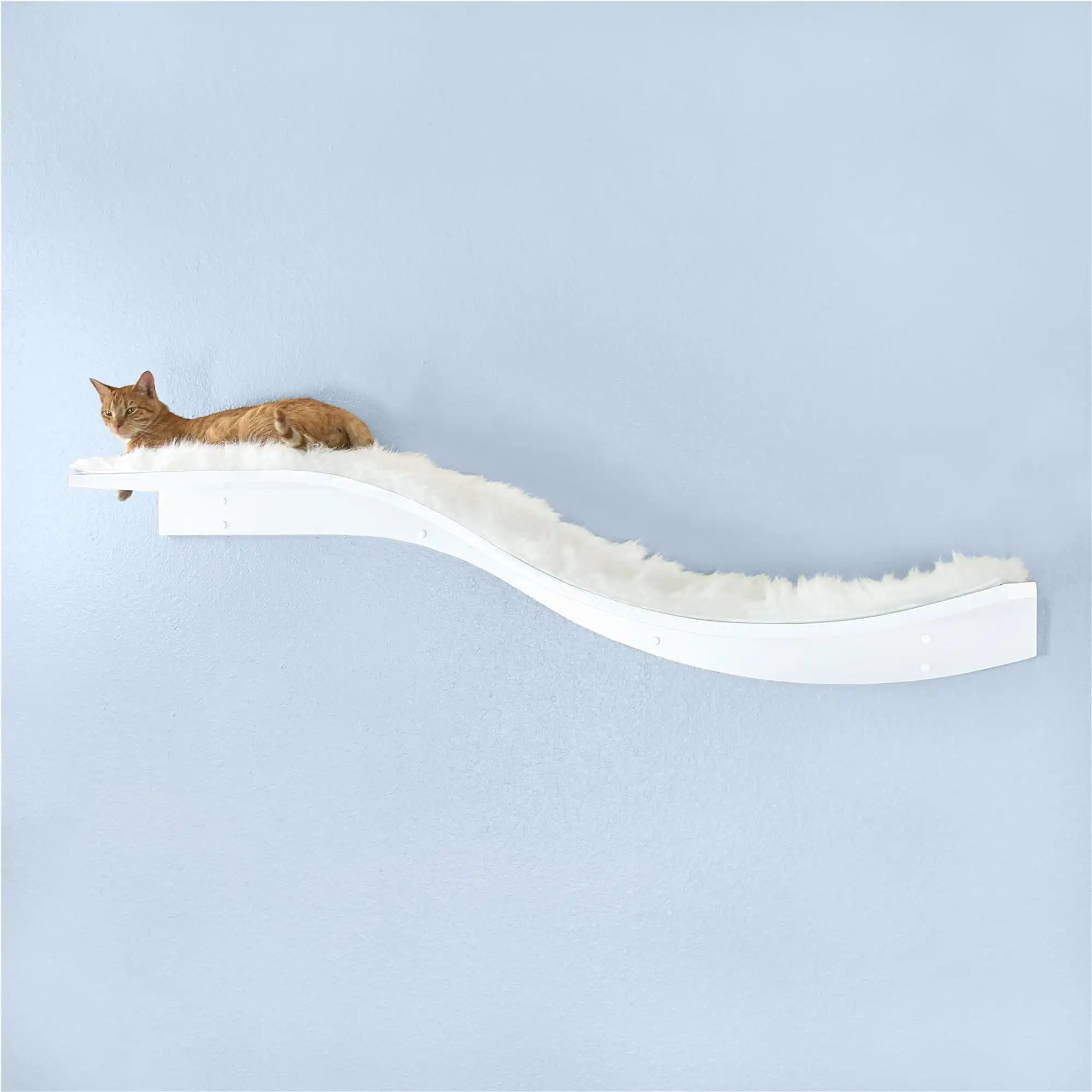 Ginger cat lounging on a curved, white wall-mounted shelf with fluffy cover against a light blue wall.