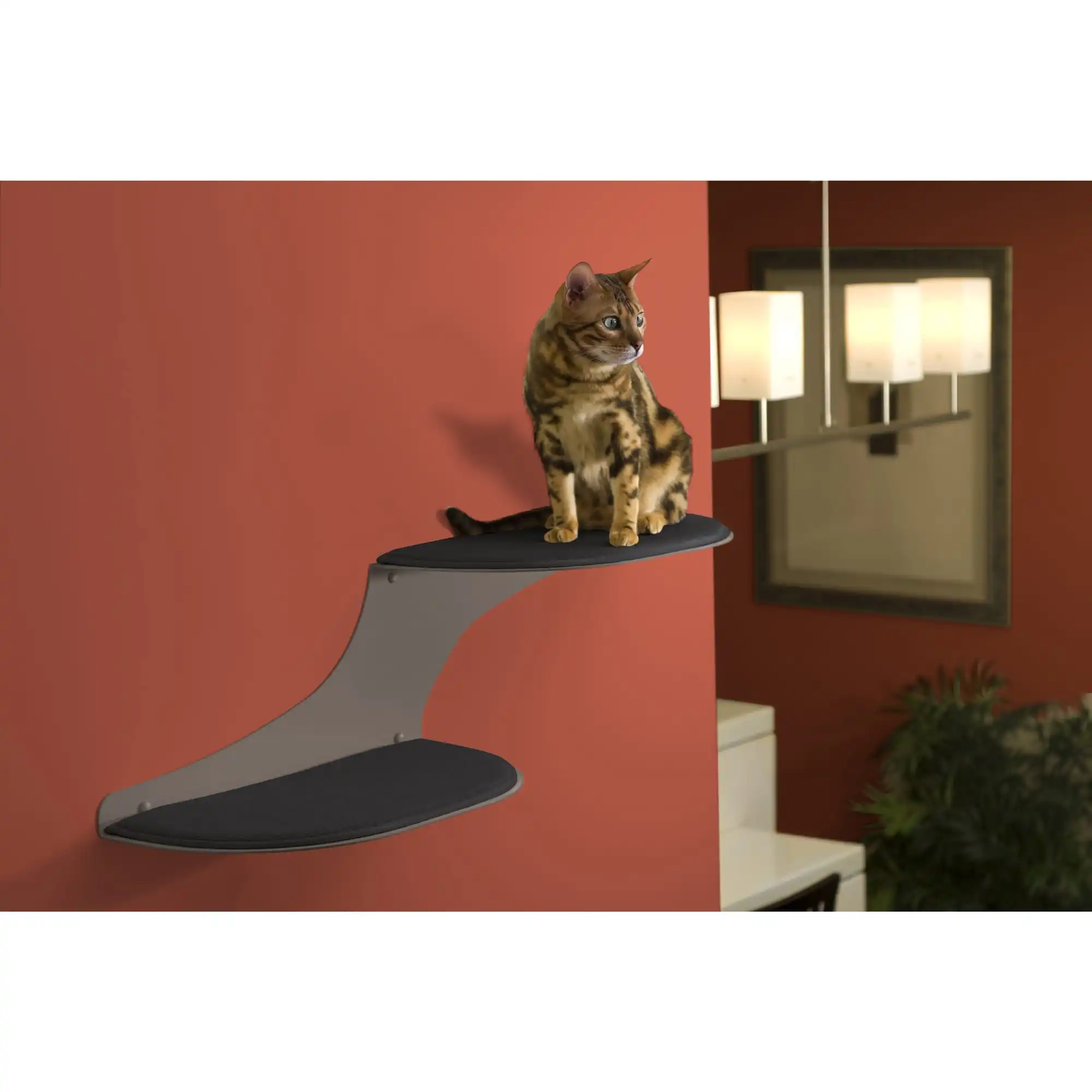 Cat lying on a titanium wall-mounted shelf against a red wall, with modern light fixture and plant in background.