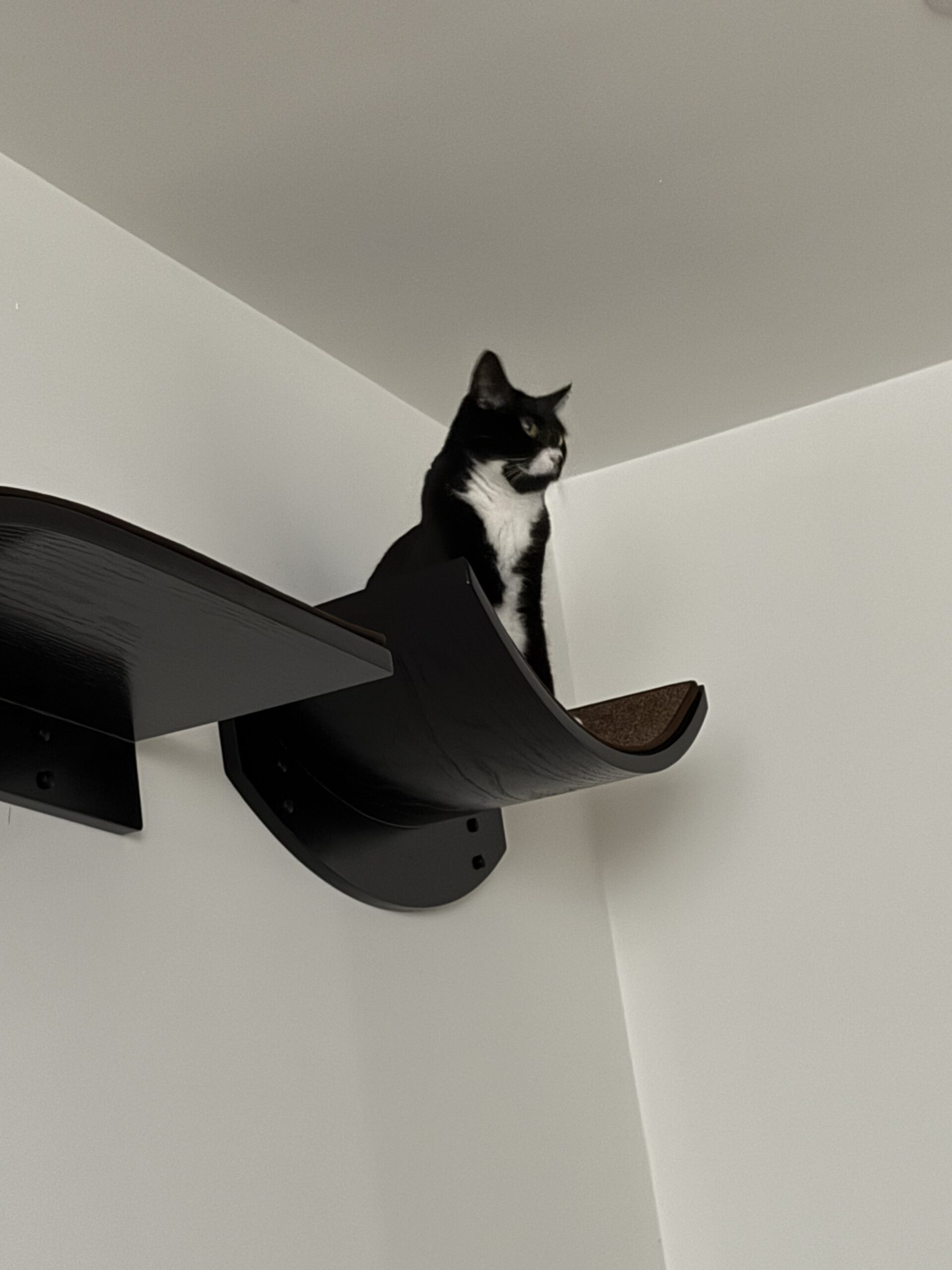 Image #4 from Kasia Koziol