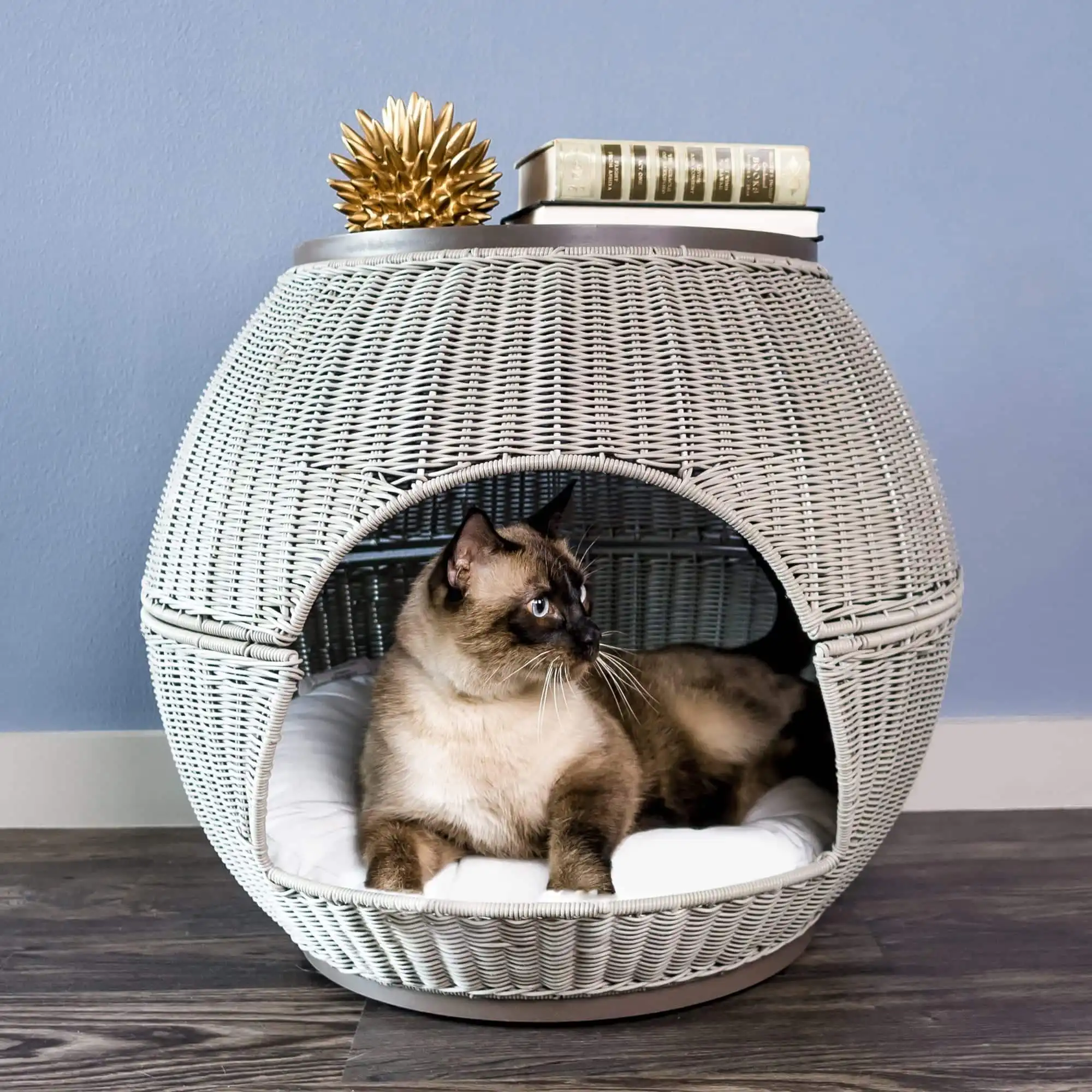 Siamese cat resting on a round wicker cat bed with books and a gold ornament on top, against a blue wall.