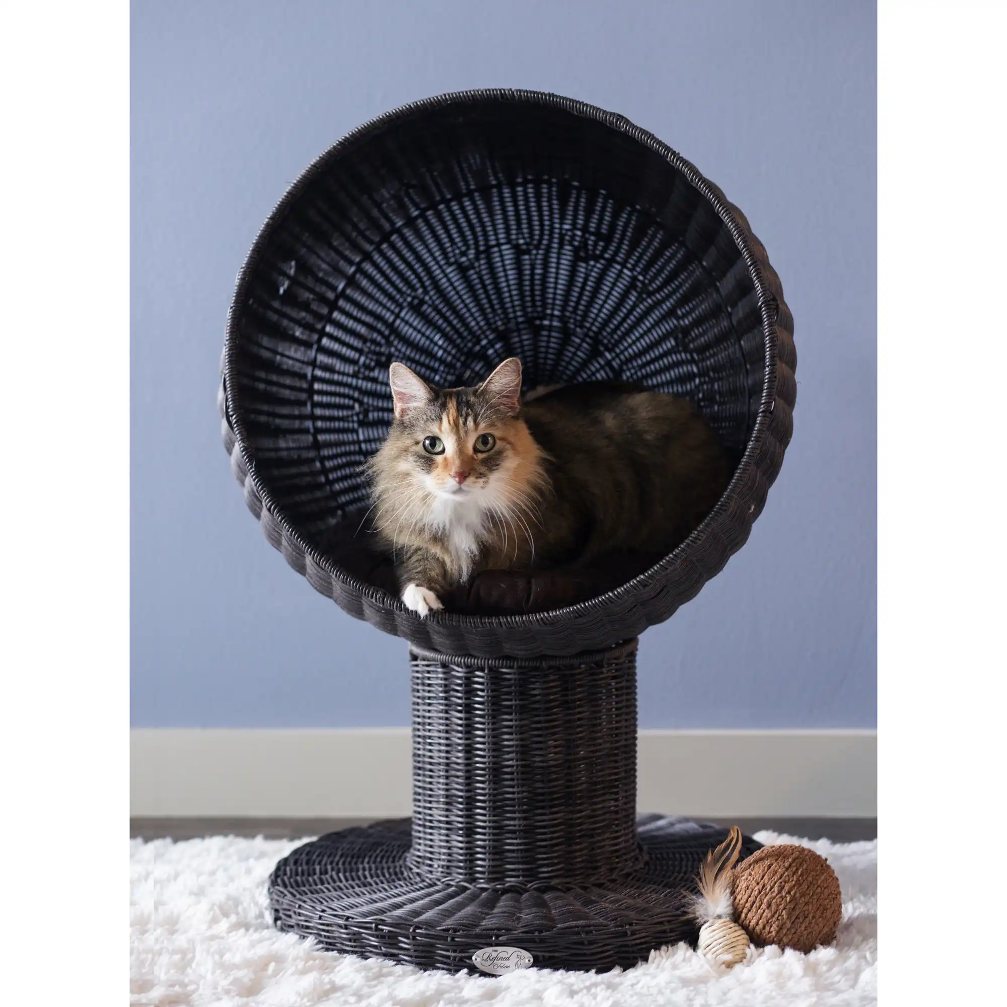 Cat resting in a round, raised wicker bed on a white rug; toy ball and feather lie next to the bed.