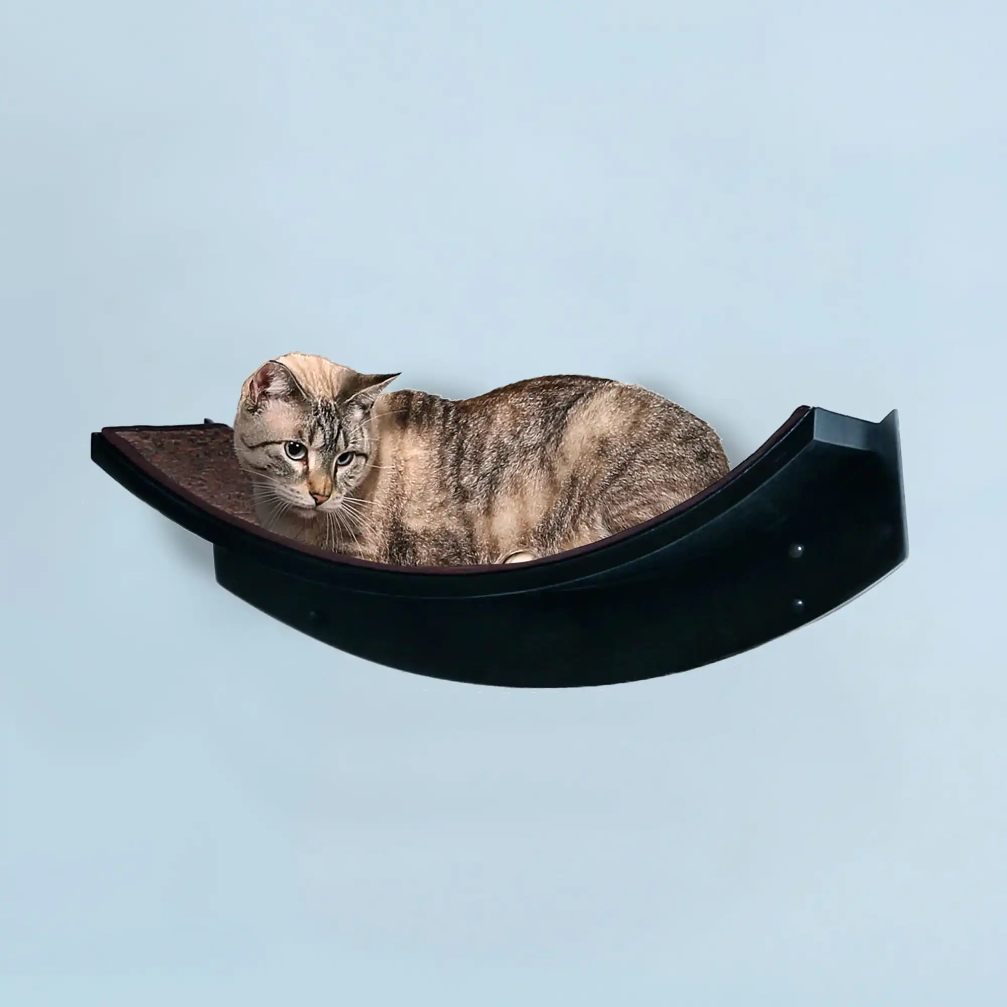 Tabby cat lying on a modern, curved wall-mounted Lotus Leaf Cat Shelf against a plain light blue wall.