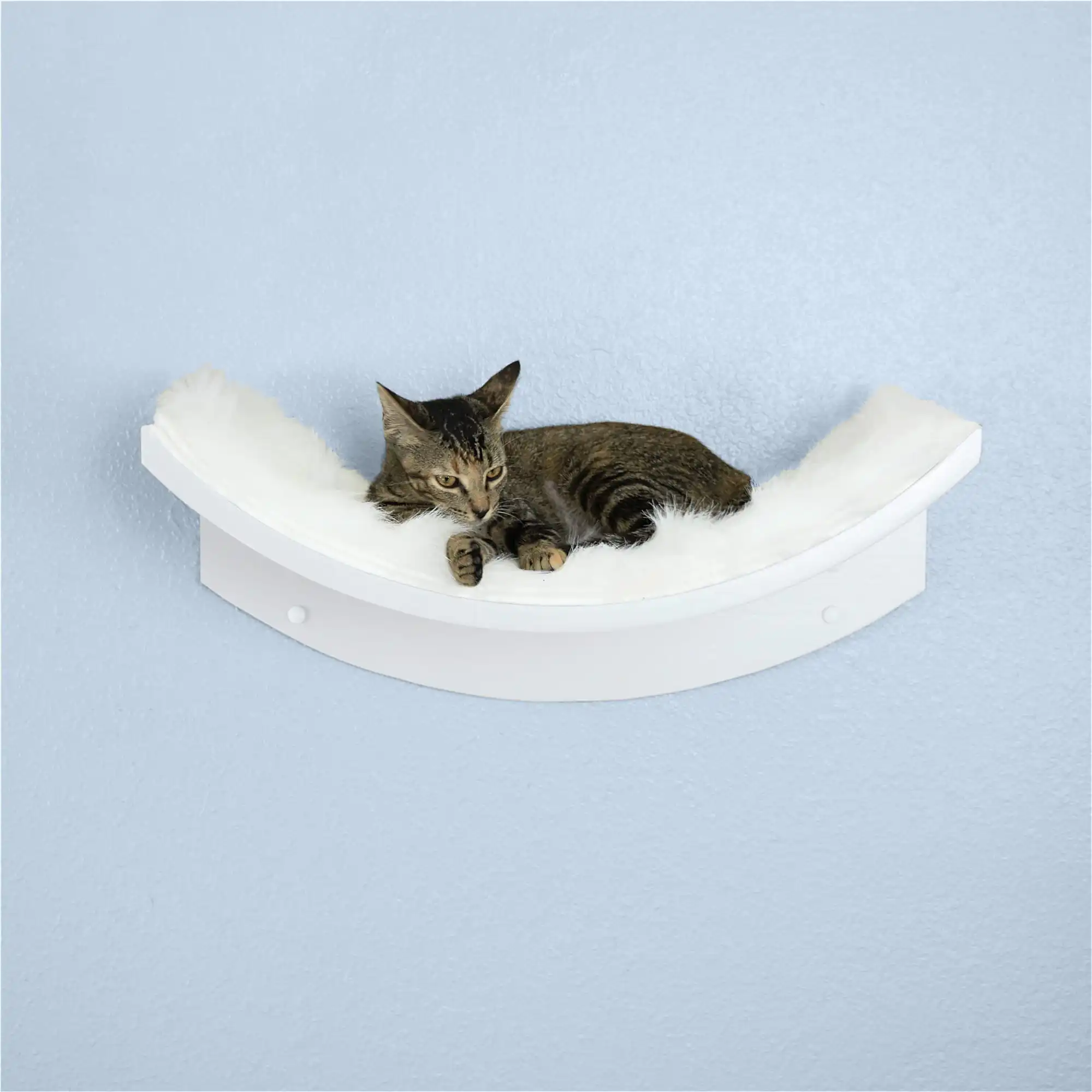 Tabby cat resting on a white, curved wall-mounted shelf with a soft cushion, resembling a lotus leaf.