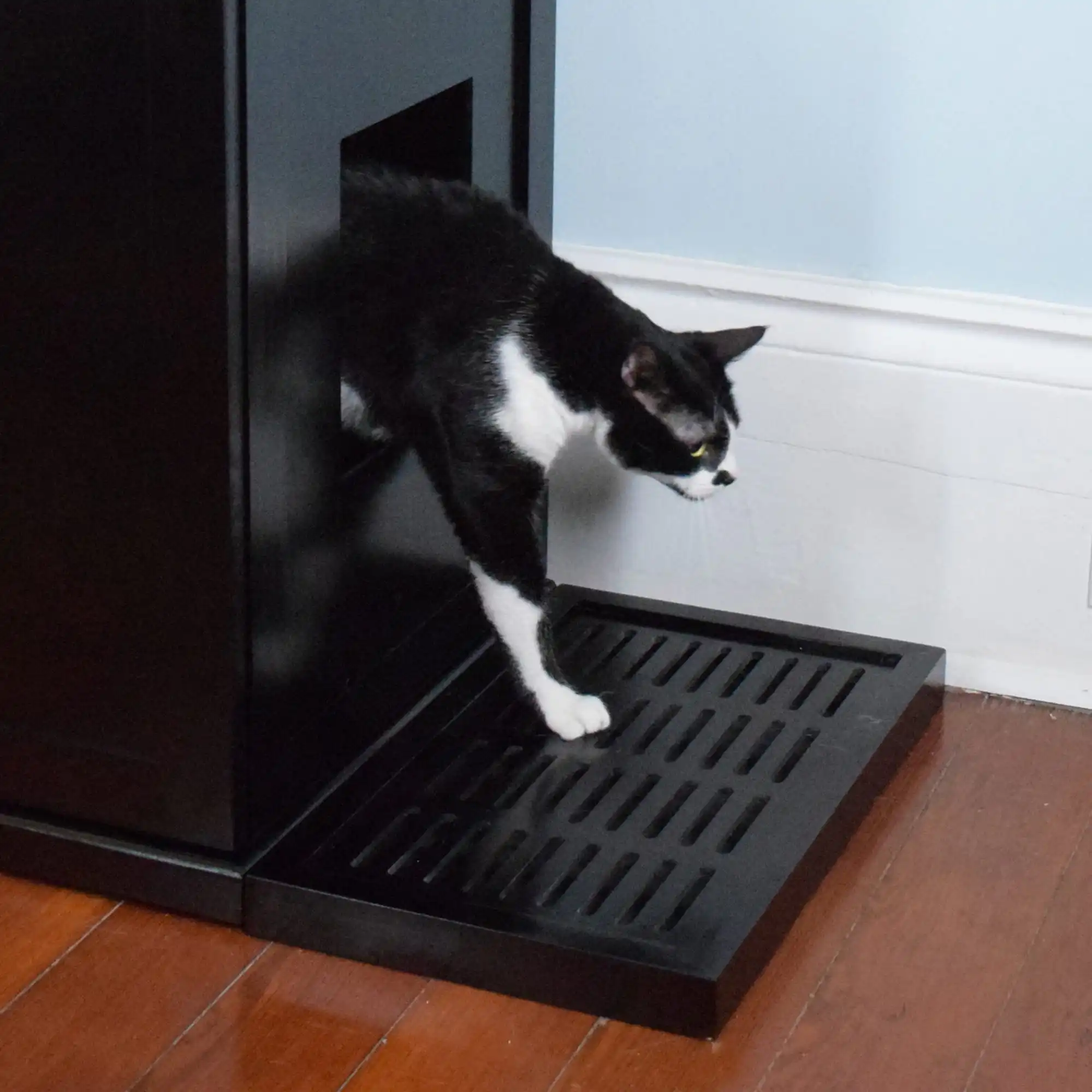 A black and white cat steps from the Refined Litter Box Espresso onto a mat on a wooden floor by a light blue wall.