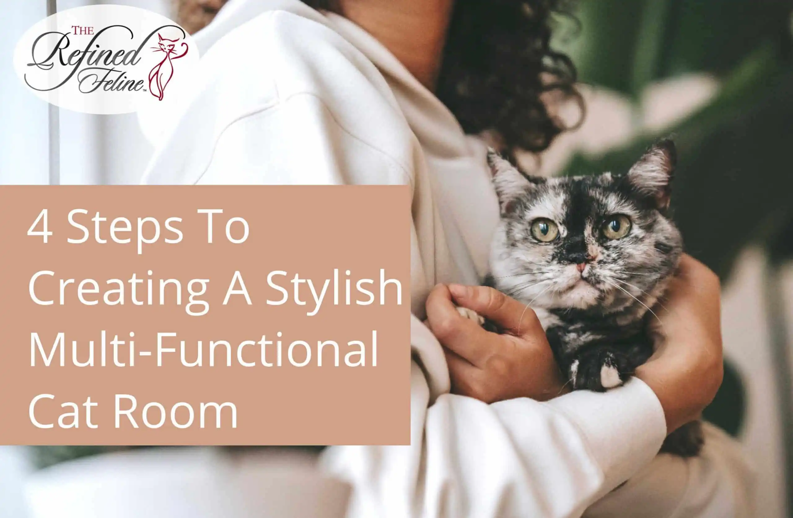 A person holds a gray cat next to large text: "4 Steps to Creating a Stylish Multi Functional Cat Room.