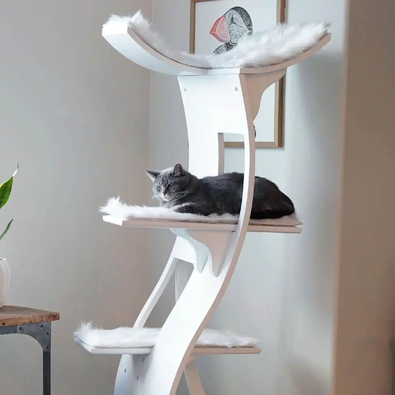 Gray cat lounging on middle tier of modern white faux fur cat tower, beside wall with bird illustration on top.