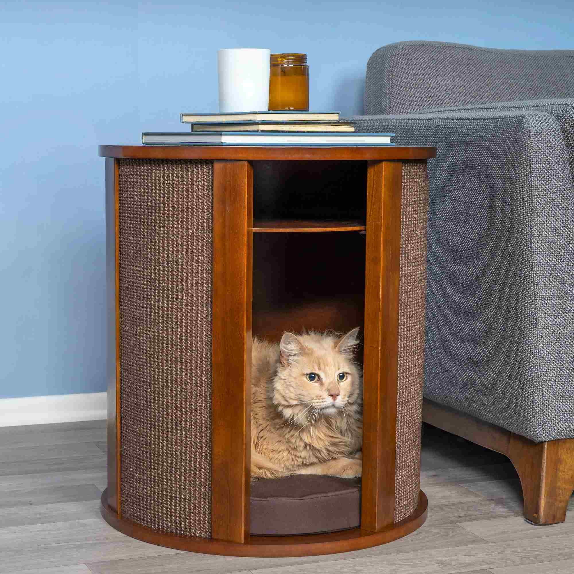 A fluffy orange cat lounges in a cat bed end table topped with books, a mug, and candle beside a gray sofa.