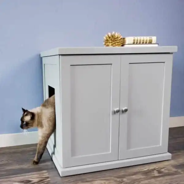 Siamese cat exits a gray litter box with side opening, set by a blue wall and topped with books and decor.