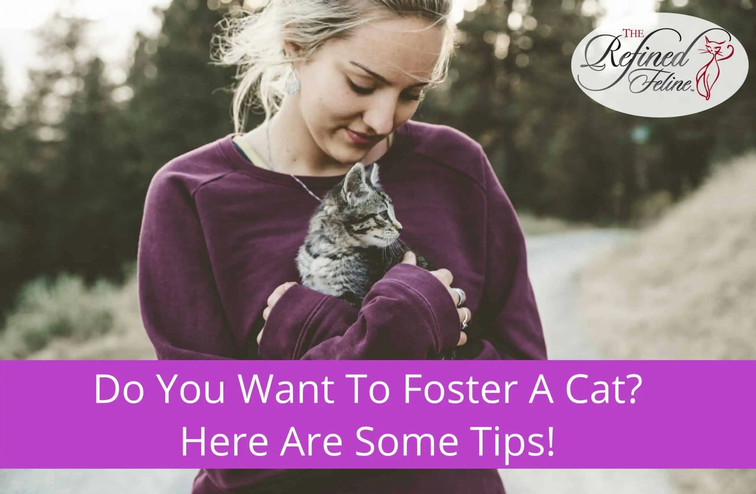 Woman in a purple sweater holding a gray kitten outdoors. Text: Want to Foster A Cat? Tips! Refined Feline logo in corner.