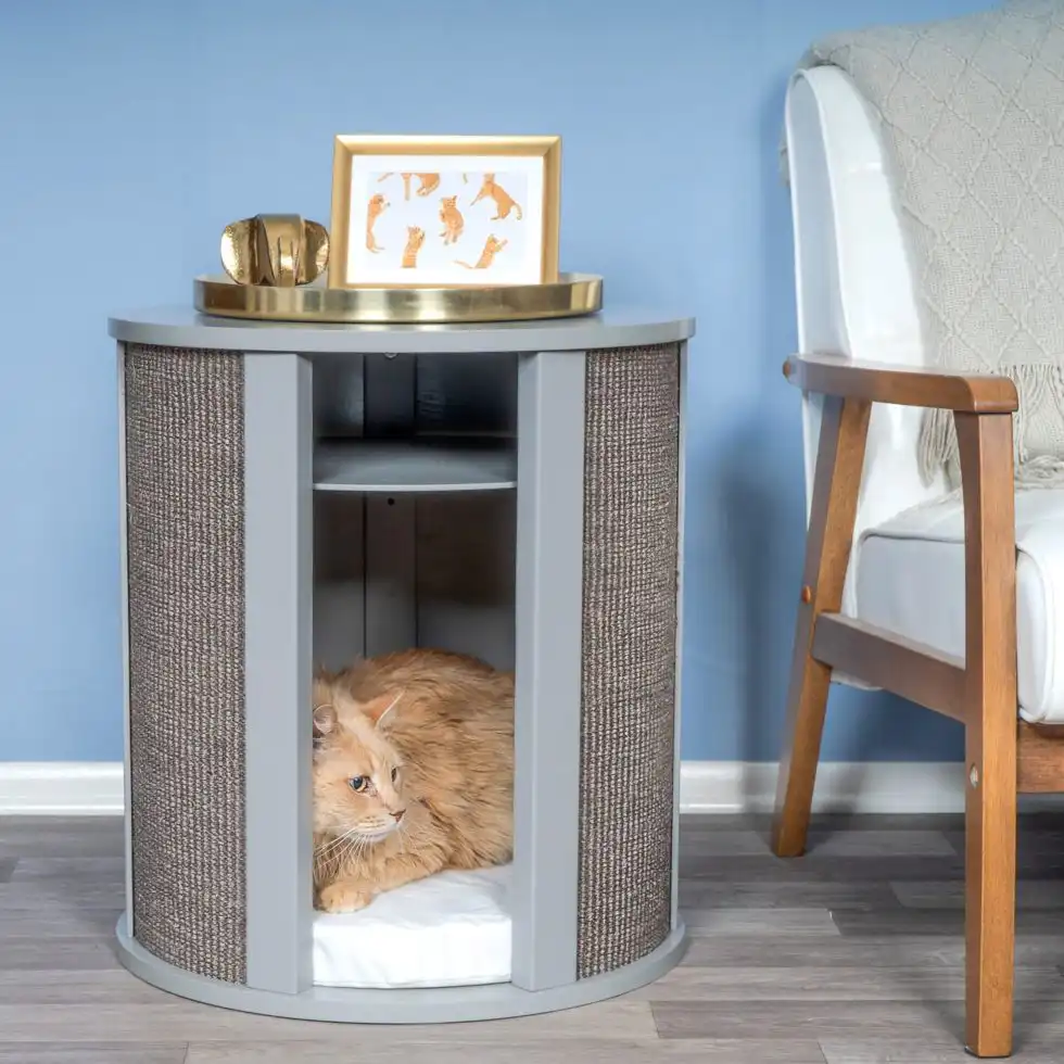 Orange cat lounging on a white cushion in a modern gray cat house beside a wooden chair with framed cat art and decor.