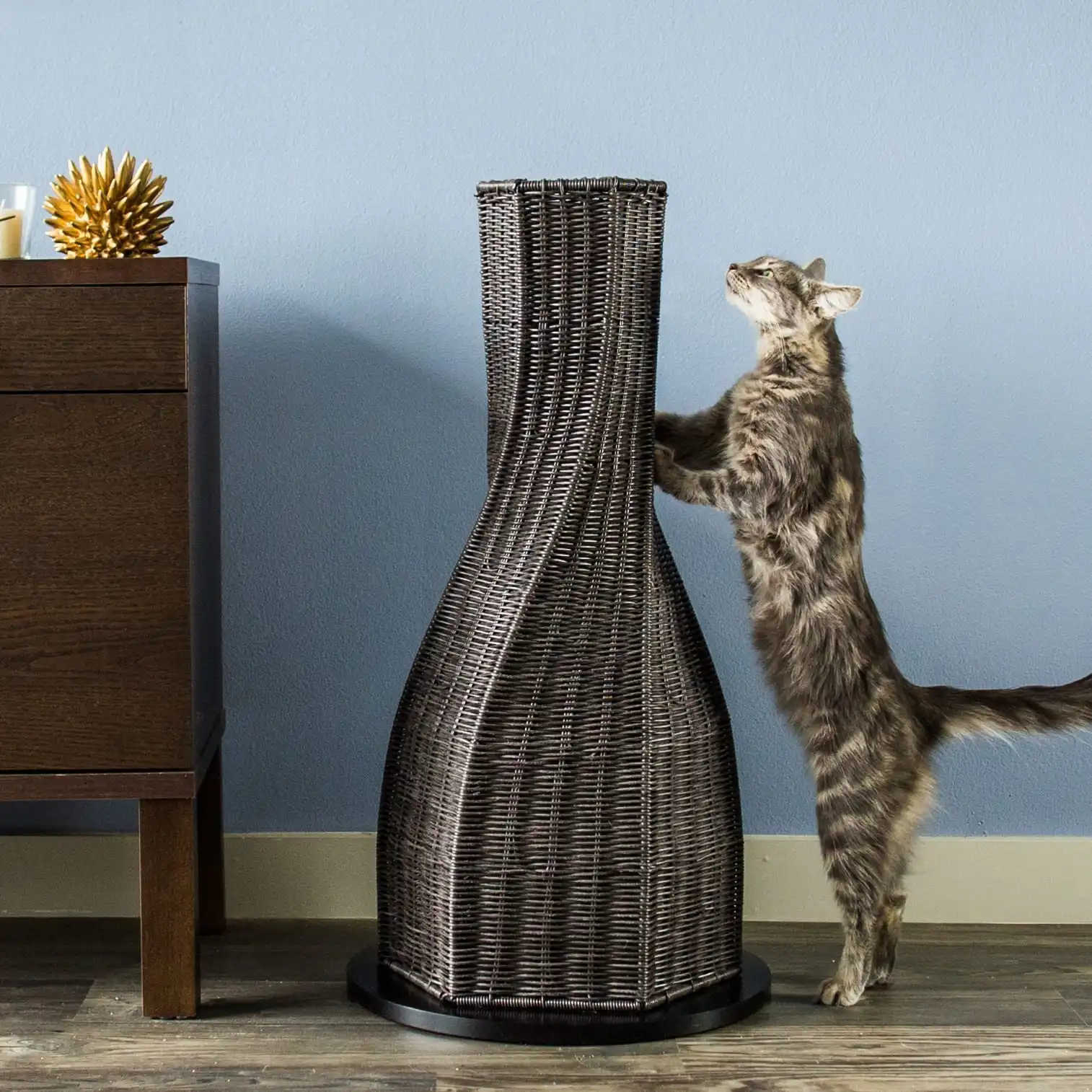 Gray tabby cat stretches with front paws on a tall scratching post beside a dark wooden cabinet and blue wall.