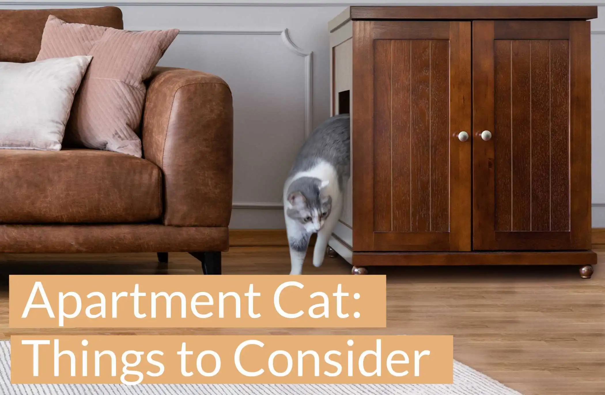 Gray and white cat steps out of a wooden cat cabinet next to a brown sofa. Text: Apartment Cat: Things to Consider.