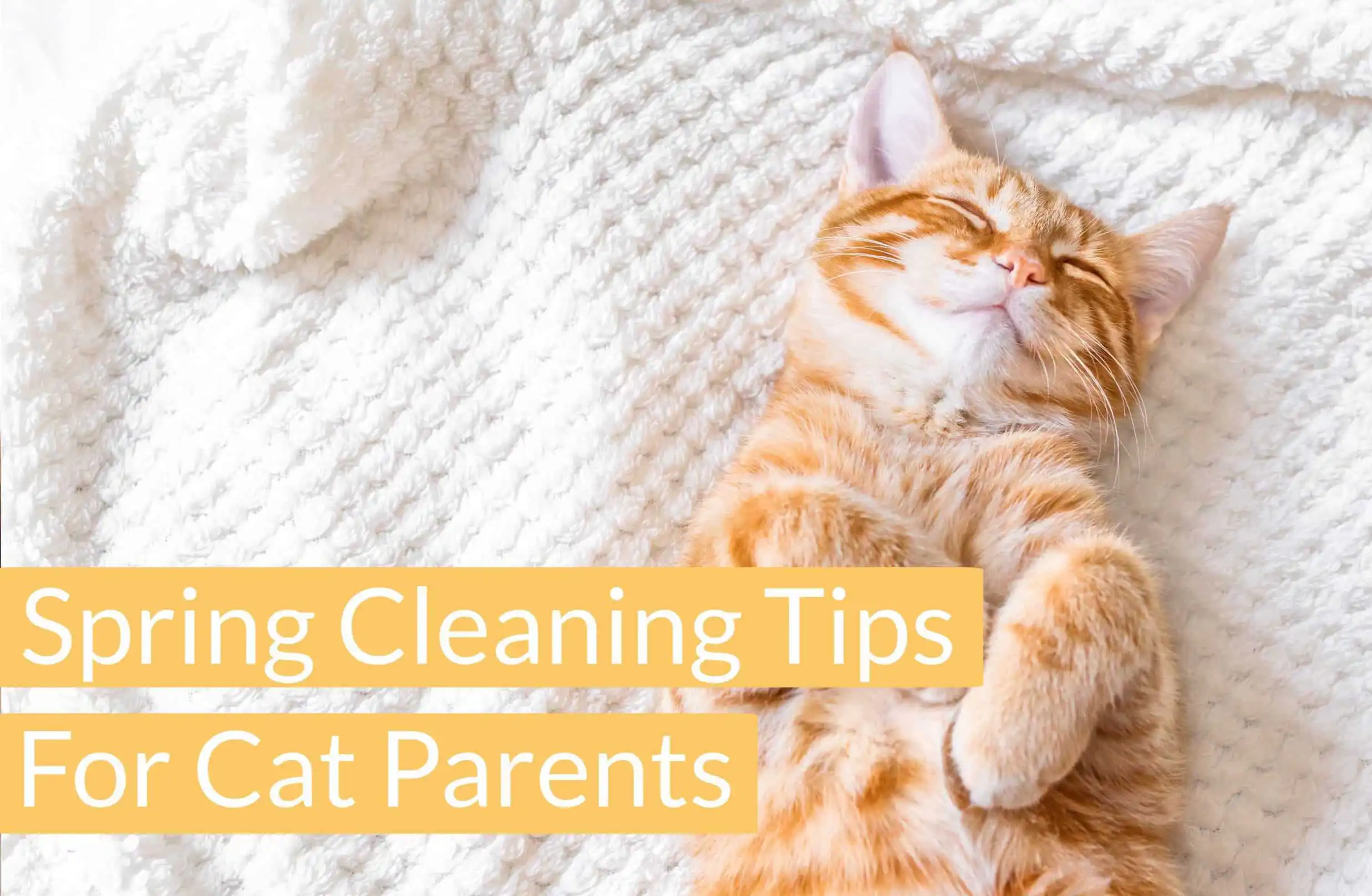 Orange tabby cat on its back on a white textured blanket, with "spring cleaning tips for cat parents" in yellow boxes.