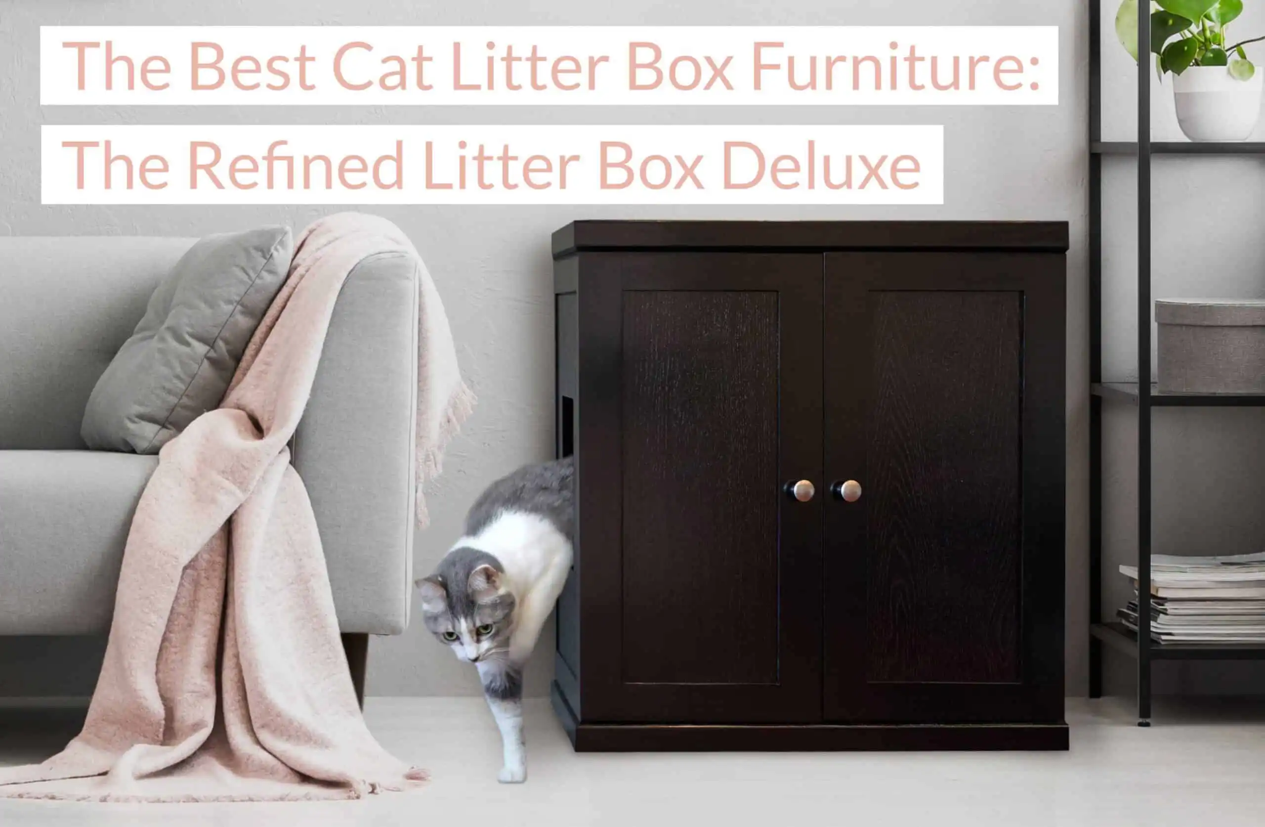 Gray and white cat leaving a dark wooden litter box beside a light sofa with pink blanket. Text: The Best Cat Litter Box Furniture.