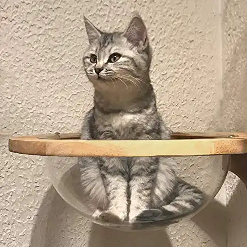 wall mounted cat capsule