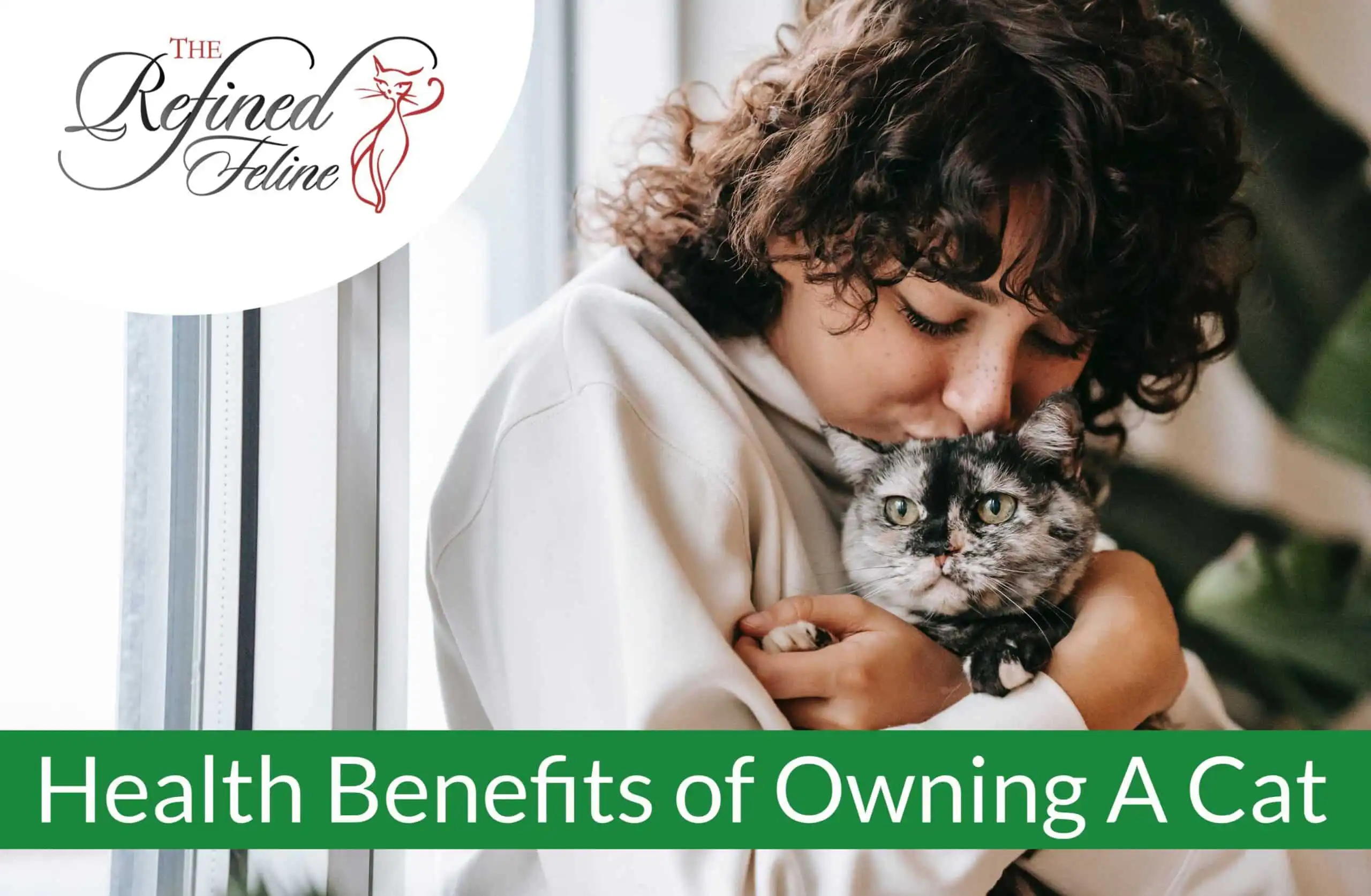 Person hugging a gray and black cat by a window; text reads "health benefits of owning a cat" with The Refined Feline logo.
