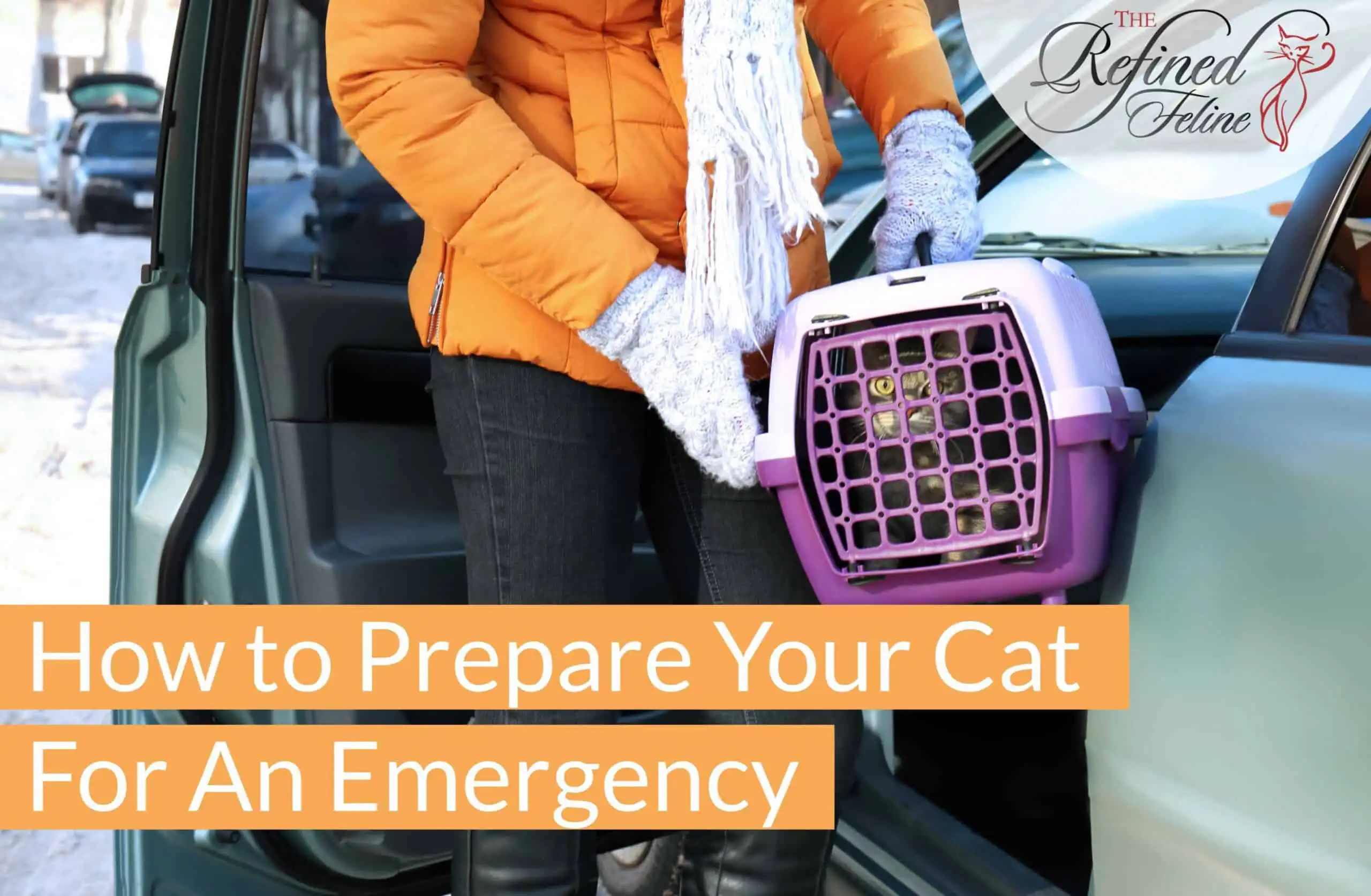 A person in winter clothes loads a purple cat carrier into their car. Text reads: How To Prepare Your Cat For An Emergency.