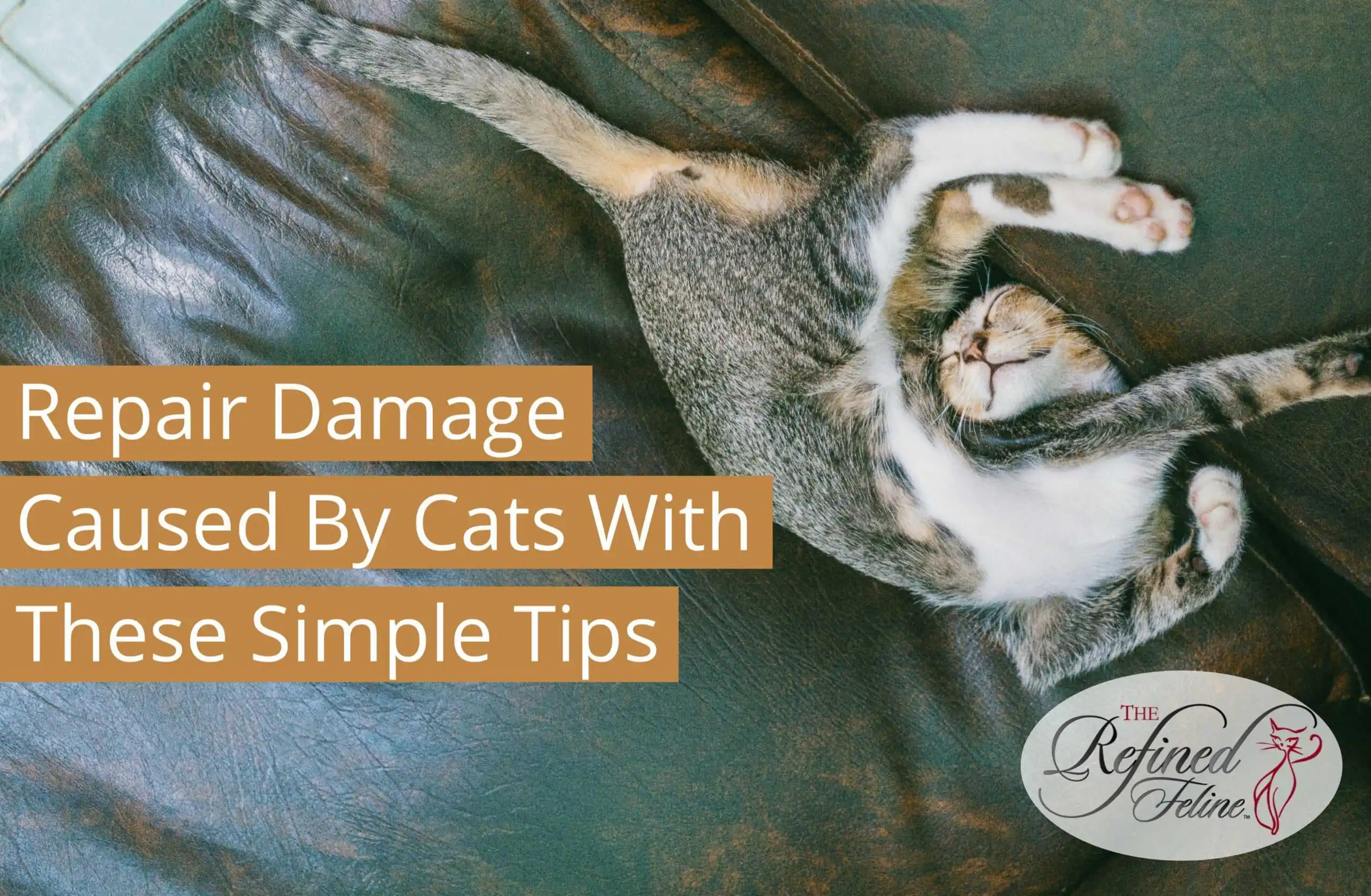 Cat lying on its back on a worn leather couch, text reads “Repair Damage Caused By Cats with these simple tips.” Refined Feline logo in corner.