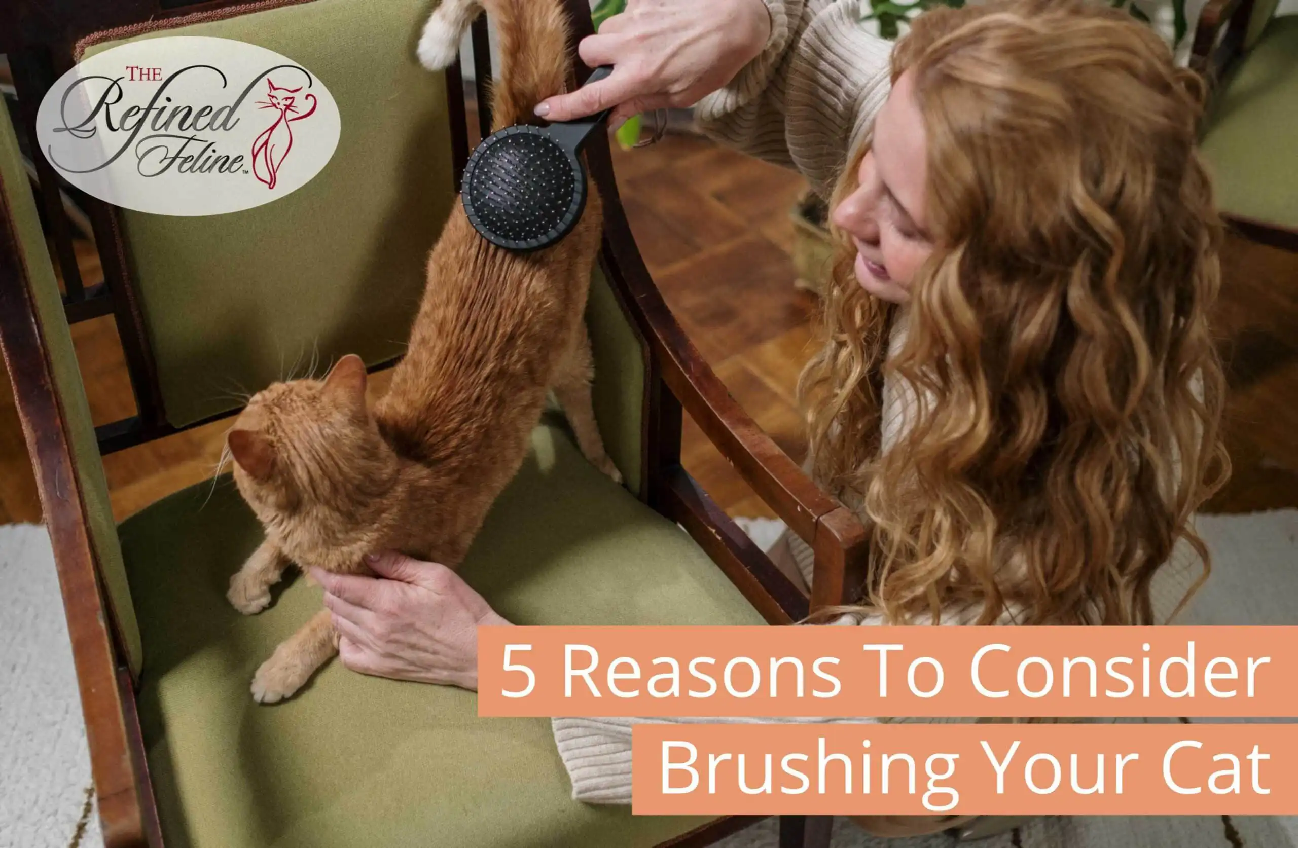 Person brushing orange cat on green chair; text reads “Reasons To Consider Brushing Your Cat.”.