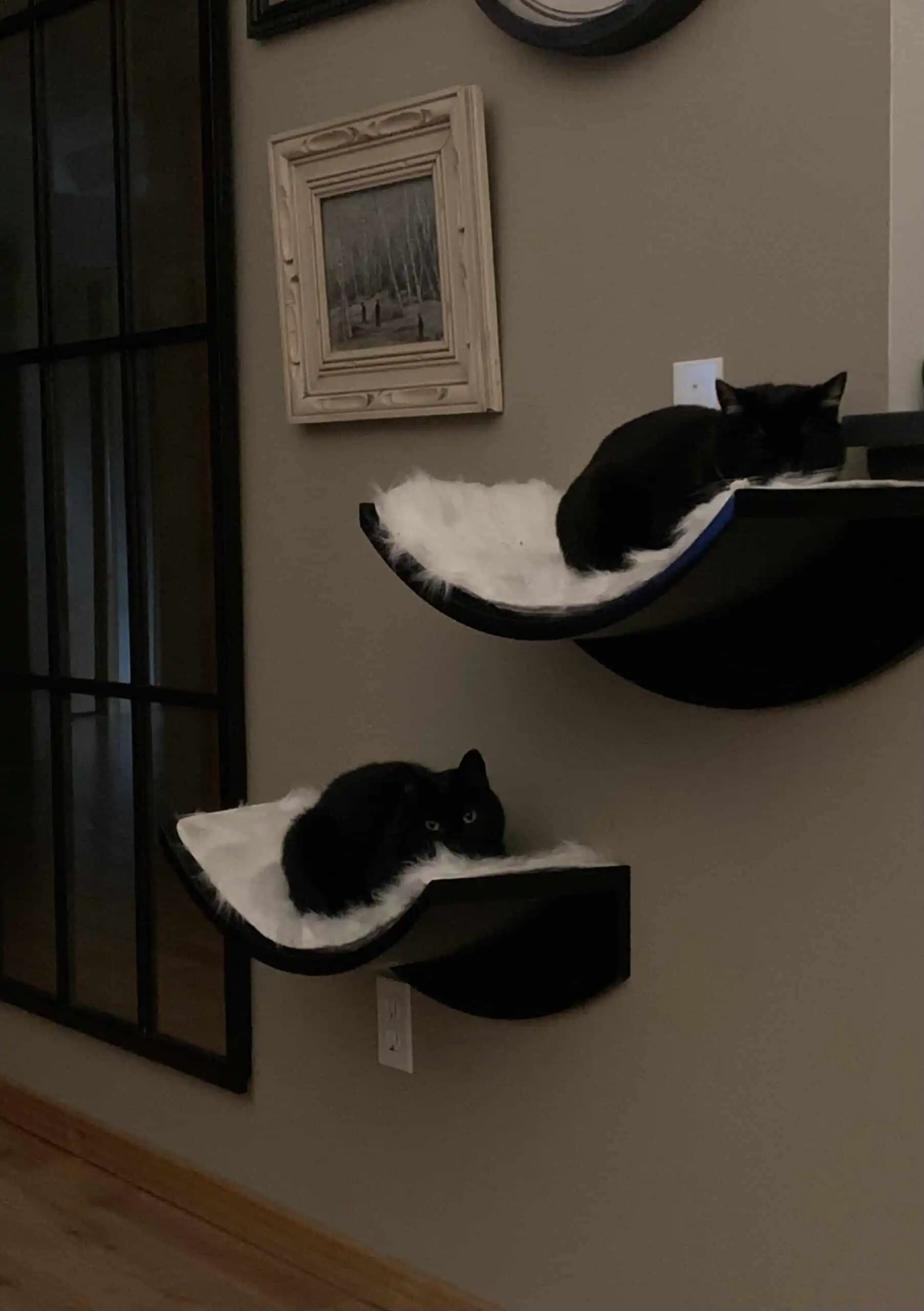 Two black cats rest on separate Lotus Leaf Cat Shelves with white cushions in a dim room near art and a glass-paneled door.