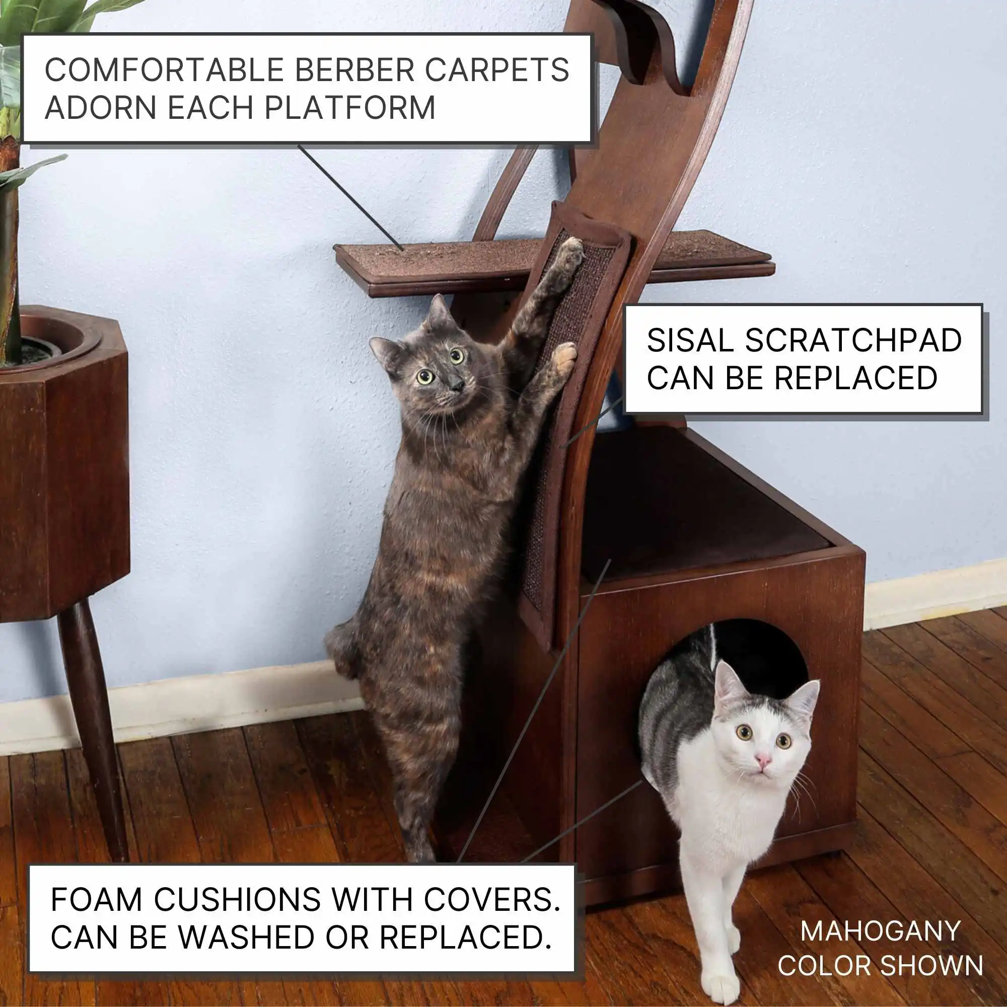 Two cats play on a mahogany Lotus cat tower with Berber carpet platforms, sisal scratchpad, and foam cushions.