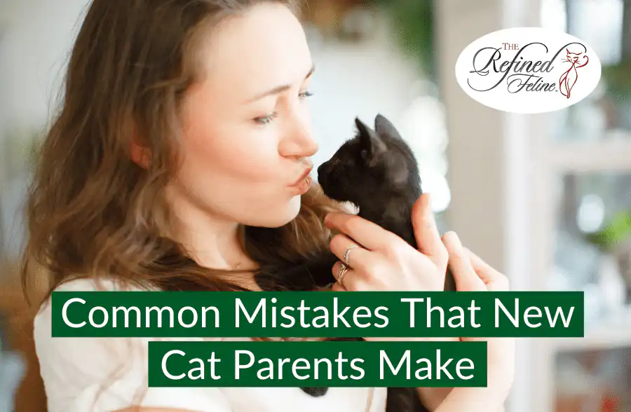 Woman kisses black kitten indoors; text reads "Common Mistakes New Cat Parents Make." Refined Feline logo upper right.