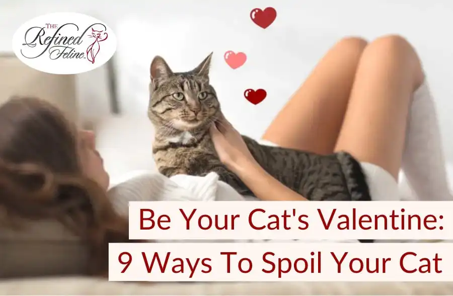 Woman lying on a bed with a tabby cat on her stomach, red hearts above them, text reads: Be Your Cat's Valentine.