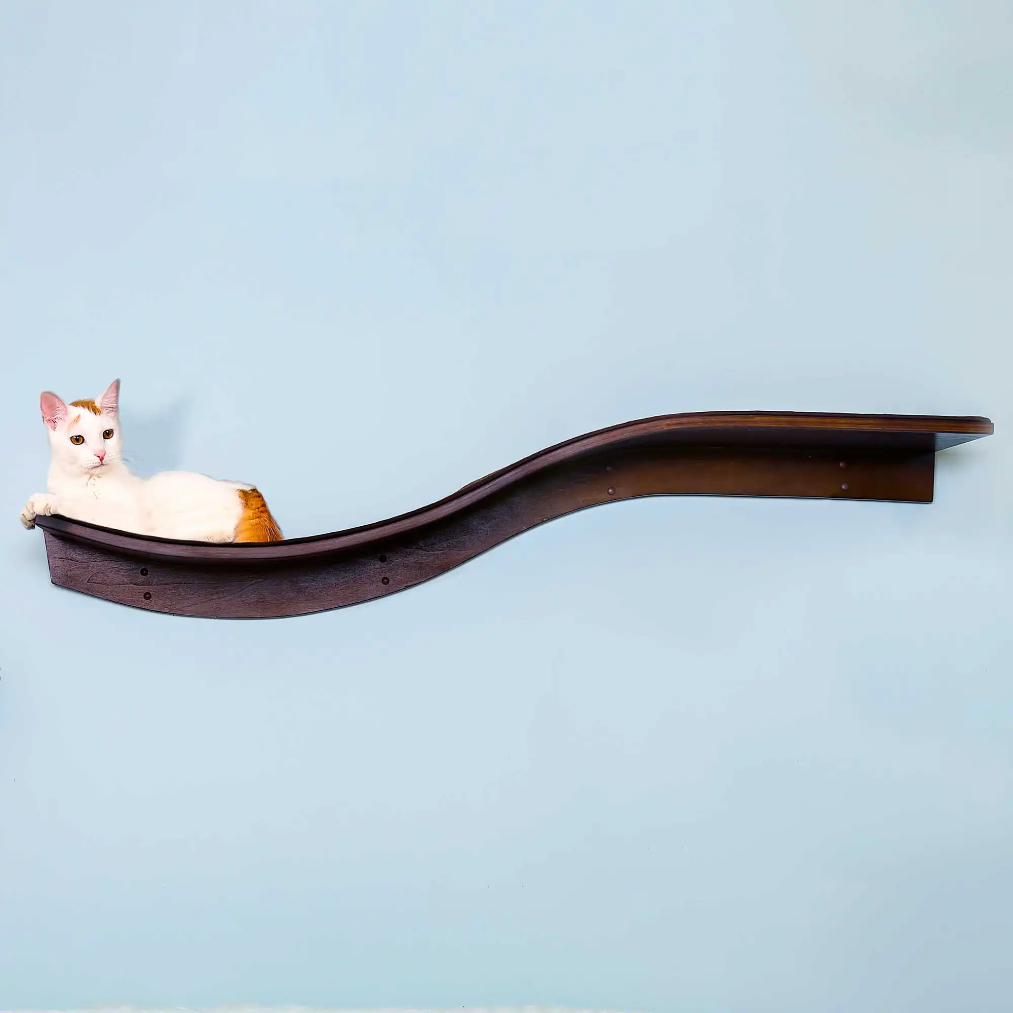 A white and orange cat lounges on a mahogany wave-shaped wall shelf resembling a branch, against a light blue background.