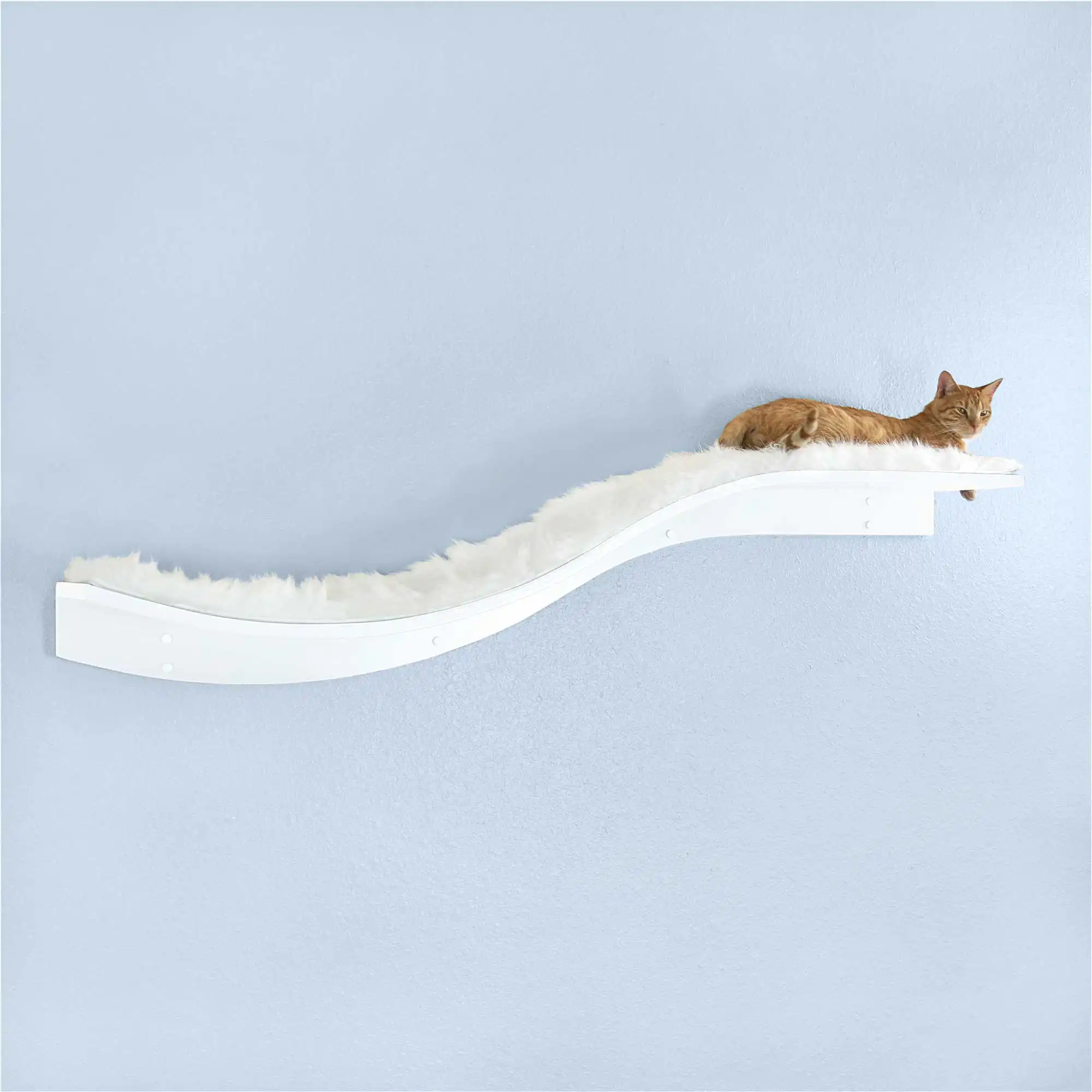 A cat resting on a white, fluffy Lotus Branch Cat Shelf mounted on a wall, with a light blue wall in the background.