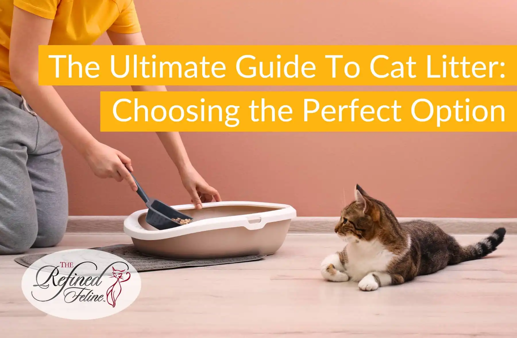 A person scoops litter from a box while a cat lounges nearby, with text about choosing the right cat litter.