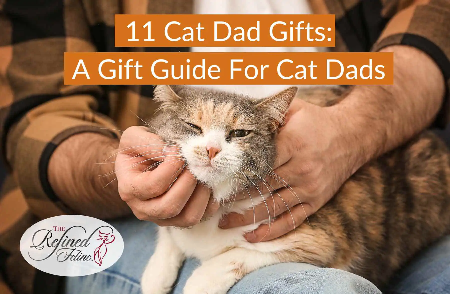 Person in plaid shirt gently holds and pets a calm calico cat. Text: Cat Dad Gifts—The ultimate guide to thoughtful gifts.