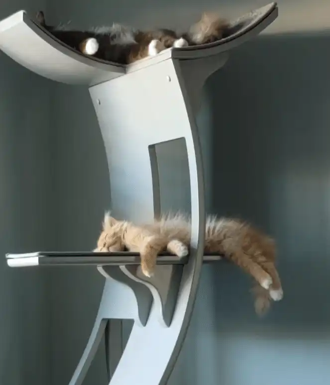 Two cats relax on different levels of a Lotus Cat Tower, legs and tails dangling playfully over the edges.