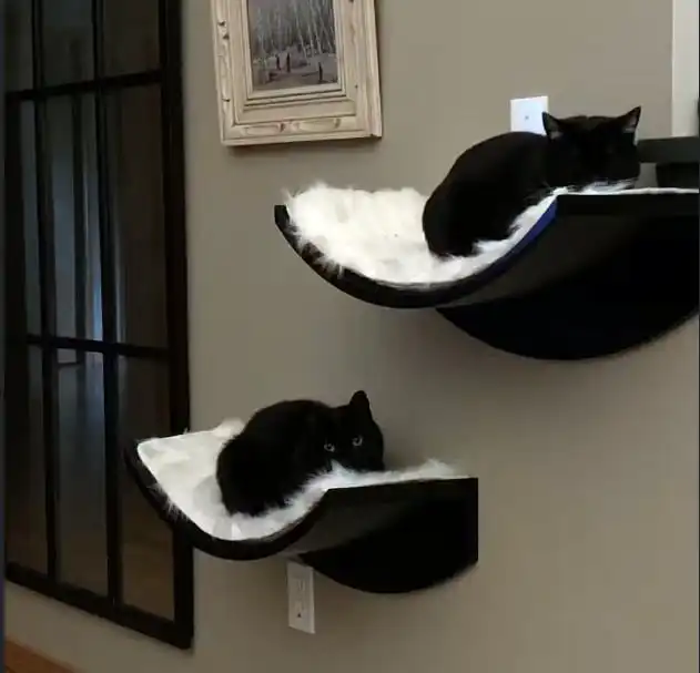 Two black cats rest on separate Lotus Leaf cat shelves with white mats, in a room with neutral walls and framed art.