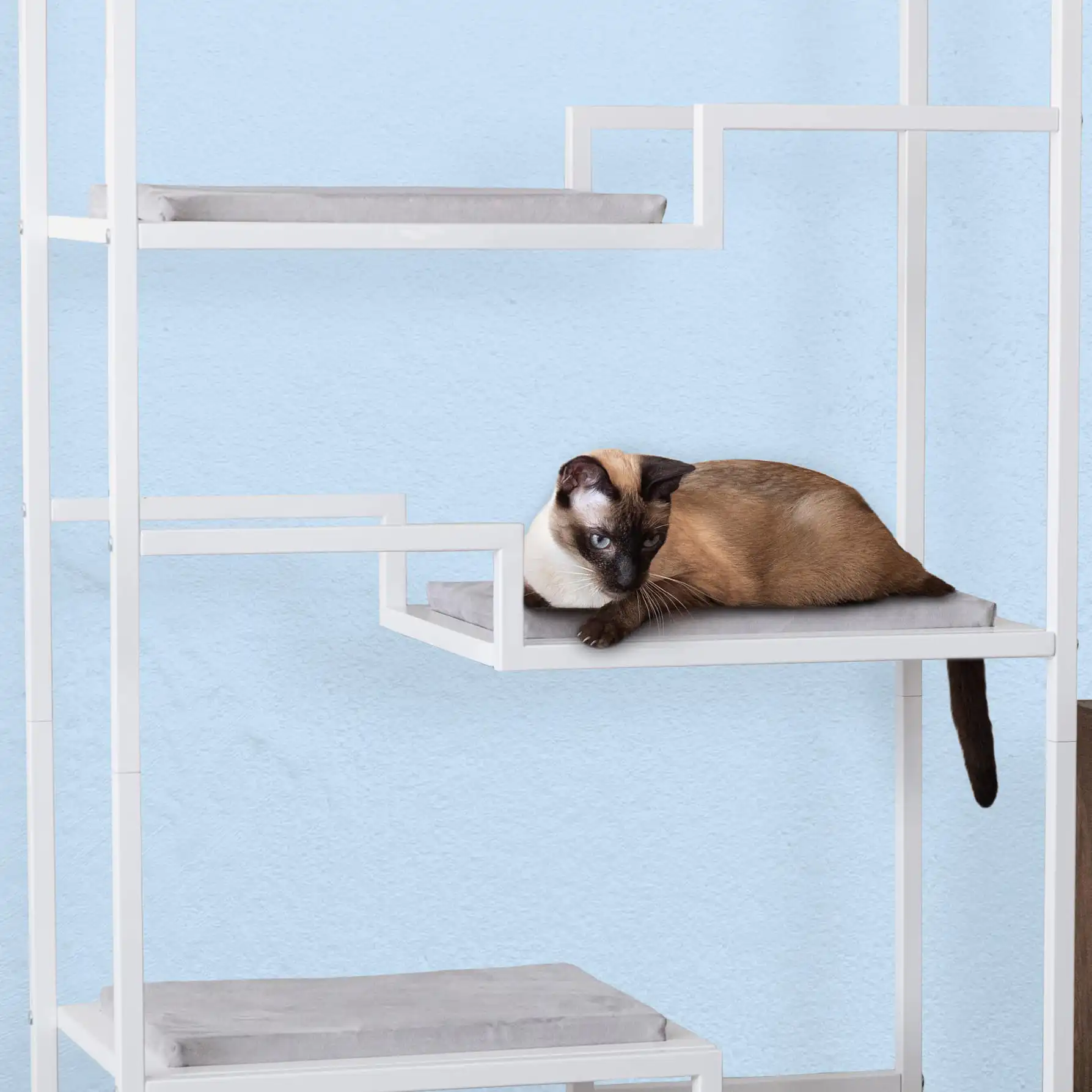 Siamese cat resting on a white metal cat tree with gray cushion, in front of a light blue wall.