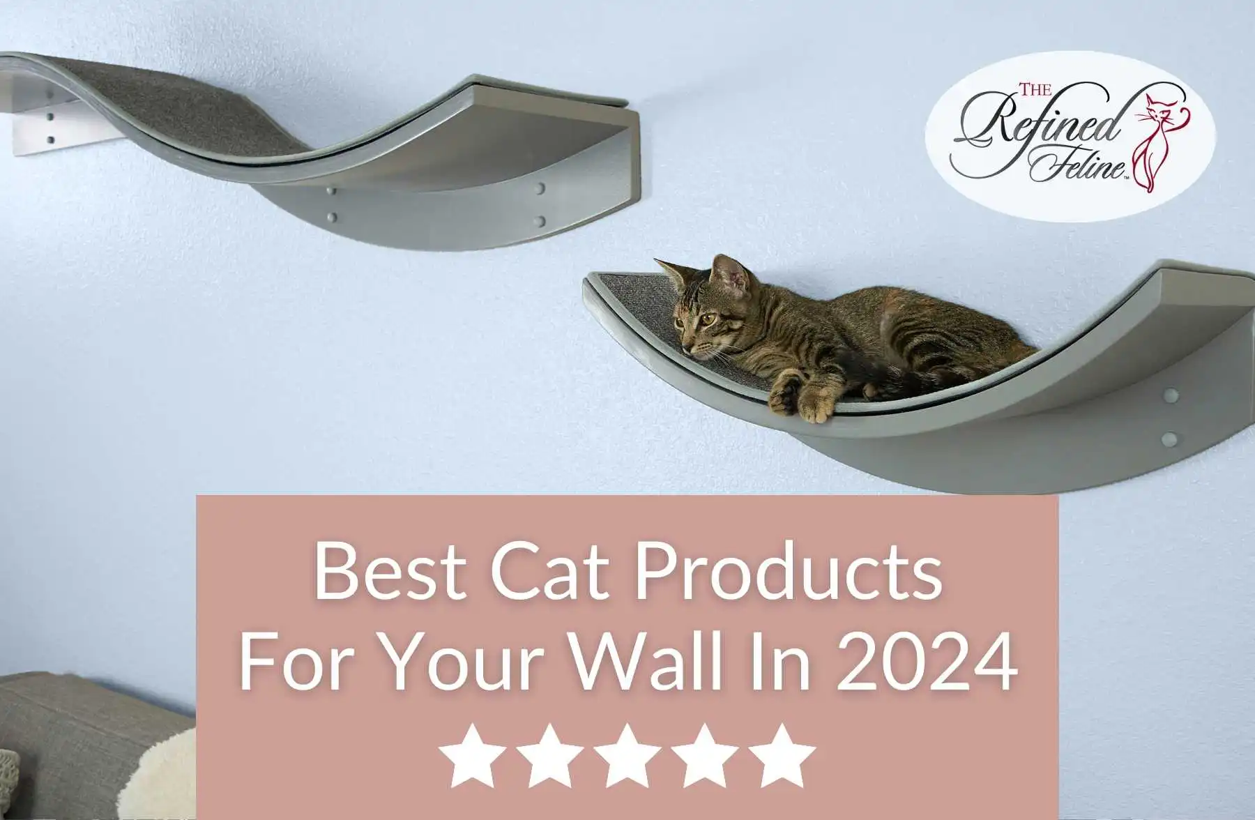 Tabby cat on curved wall shelf above sofa, three BlogNewsletter icons, text "Best Cat Products For Your Wall In 2024," five stars.