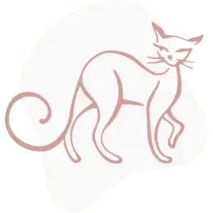 cat-image-1