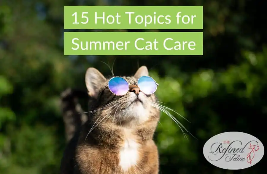 Cat wearing mirrored sunglasses relaxes outside; overlaid text reads "15 Hot Topics for Summer Cat Care." Refined Feline logo in corner.