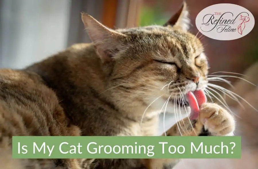 Tabby cat licking its paw. Text: "Is My Cat Grooming Too Much?" Product name and The Refined Feline logo in corner.