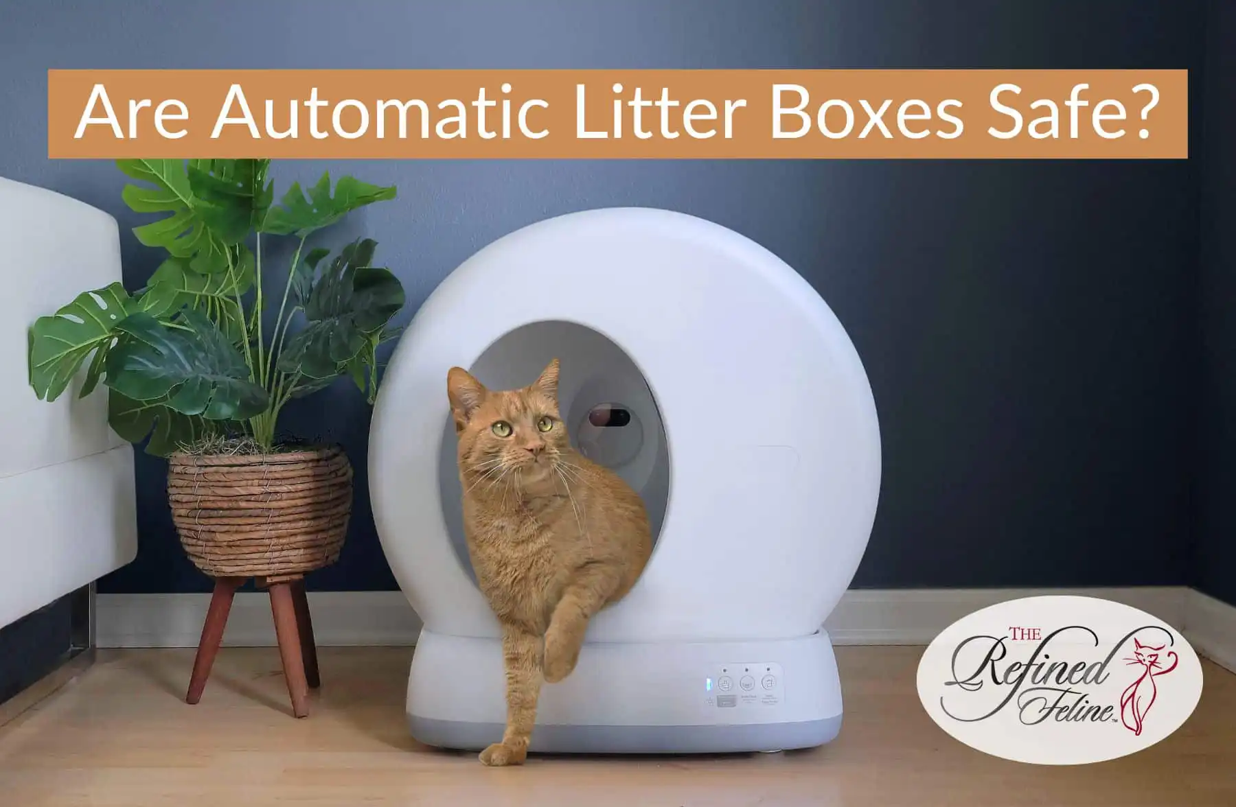 Orange cat in white self-cleaning litter box beside potted plant, with text “are automatic litter boxes safe” and The Refined Feline logo.