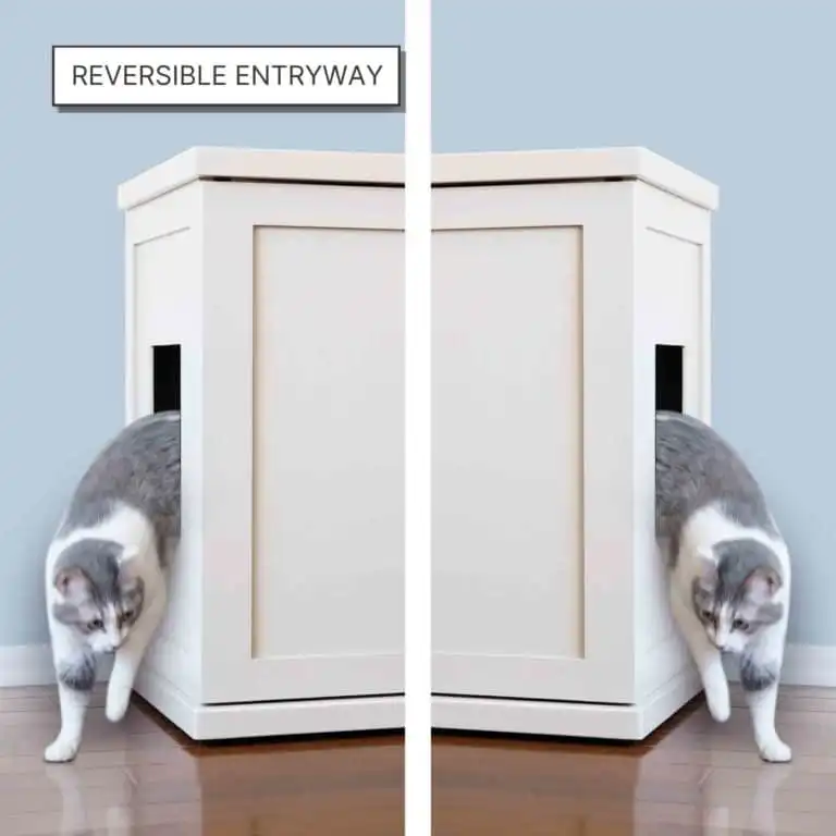 Gray and white cat exits a white litter box enclosure with entryways shown on both left and right sides.