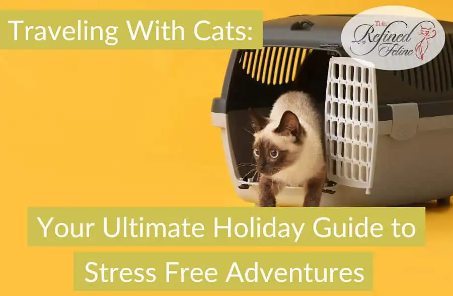 Siamese cat stepping out of gray carrier on yellow background with travel tips guidebook titled "Traveling With Cats.