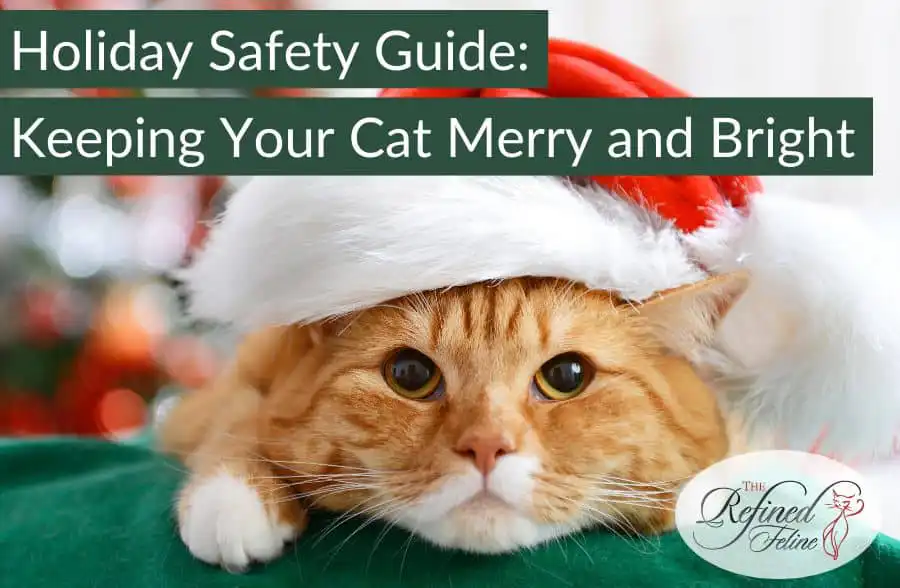 Orange tabby cat in red and white Santa hat lies on green with text: "Holiday Safety Guide—Keeping Your Cat Merry and Bright.
